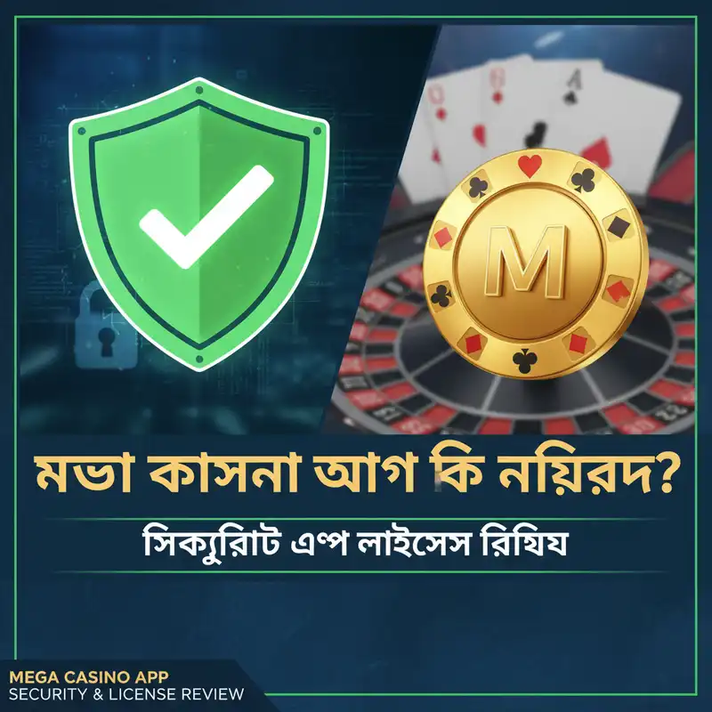 Mega Casino App Security and Safety Review